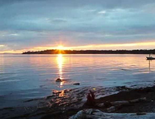 Why Canadians Love Birch Bay as an Affordable Getaway